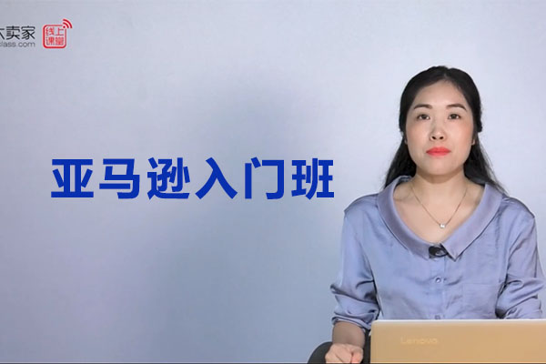 大卖家:亚马逊入门班视频教程-百万资源网