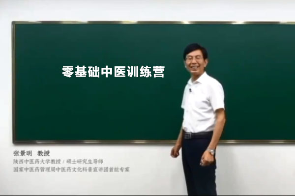 张景明的零基础中医训练营-百万资源网
