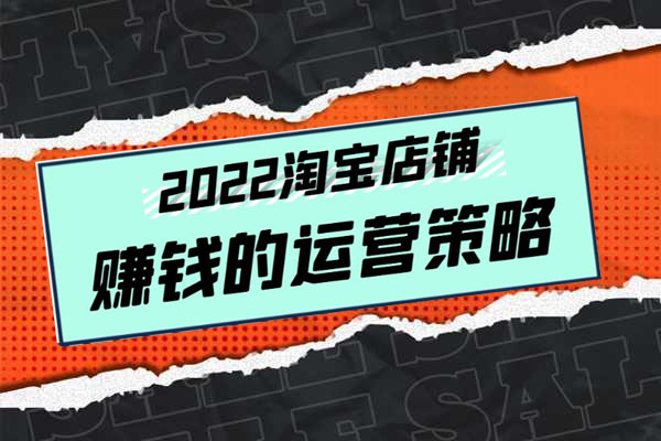 震宇老师:2022年淘宝店铺赚钱的运营策略,一套能够盈利的赚钱打法-百万资源网