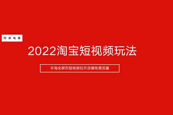 阿呆电商：淘宝·短视频引爆店铺流量实战玩法-百万资源网