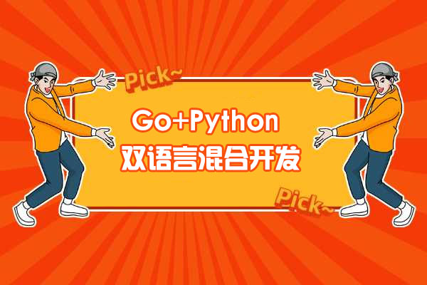Go+Python打造电商系统,自研微服务框架视频教程-百万资源网