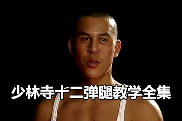 释行宇:少林寺十二弹腿教学视频全集-百万资源网