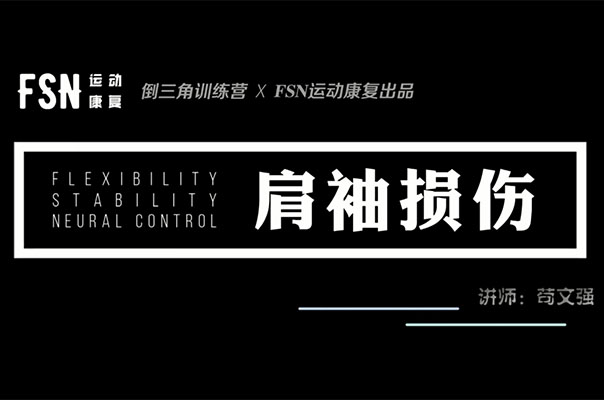 倒三角训练营苟文强：《24种疼痛康复训练营》-百万资源网