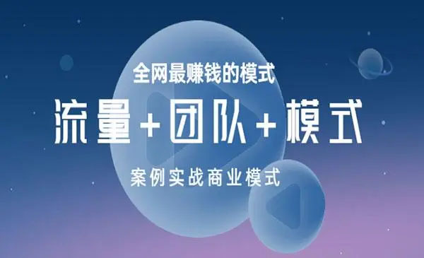 王冲商业模式:《流量+团队+模式》打造全网最赚钱的模式案例实战-百万资源网