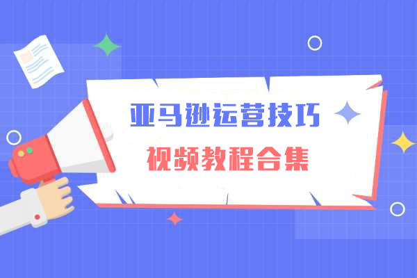Amazon电商培训:亚马逊运营技巧视频教程合集-百万资源网