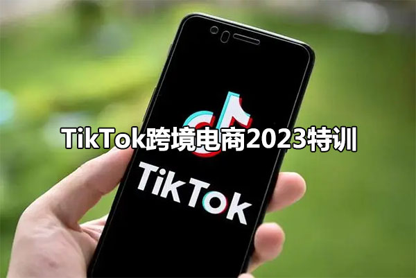 TikTok跨境电商2023特训：抢占跨境电商新高地-百万资源网