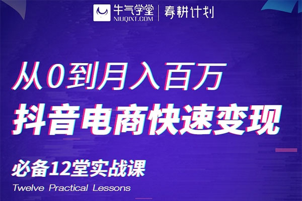 牛气学堂：从0到月入百万， 抖音电商快速变现必备12堂实战课（视频+讲义）-百万资源网