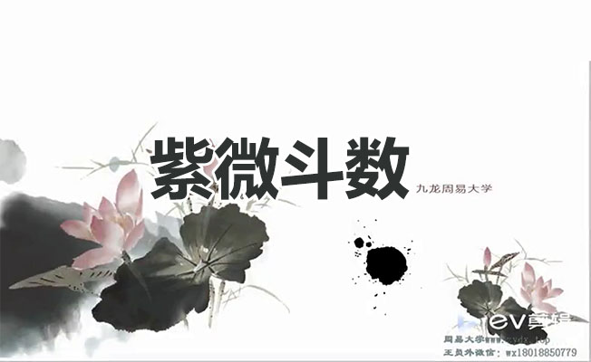 九龙道长王员外斗数紫微斗数课程-百万资源网