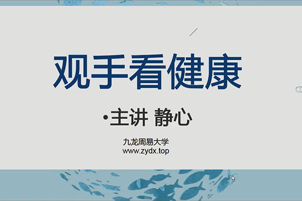 九龙道长弟子班内容静心老师手相课程-百万资源网