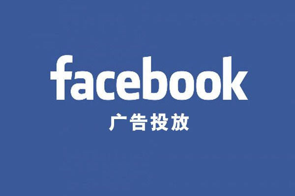 【丹尼尔】如何正确高效进行Facebook广告投放-百万资源网
