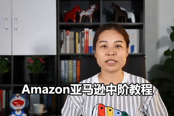 Amazon亚马逊中阶教程-百万资源网