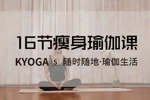 16节瘦身减脂瑜伽课-百万资源网