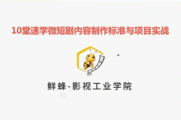 10堂速学微短剧内容制作标准与项目实战-百万资源网
