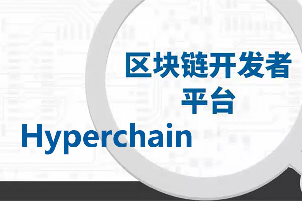 企业级区块链平台Hyperchain详解-百万资源网