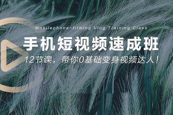 手机短视频拍摄速成班:12节课带您零基础变身视频达人-百万资源网