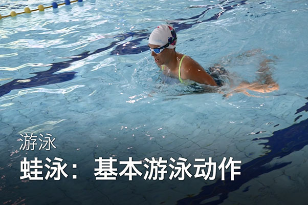 成人学游泳之蛙泳教学-百万资源网