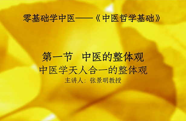 张景明《零基础学中医》82课视频+课件-百万资源网