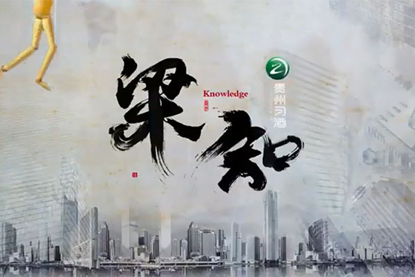 老梁(梁宏达)讲人生智慧 《梁知》-百万资源网