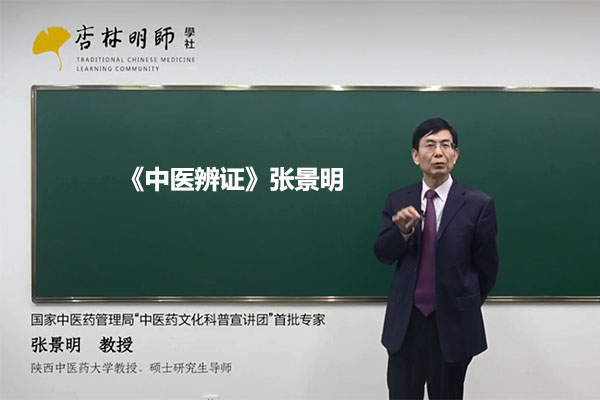 《中医辨证》张景明(视频+讲义)-百万资源网