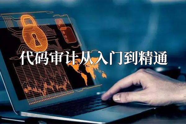 代码审计从入门到精通教程(视频+资料)-百万资源网