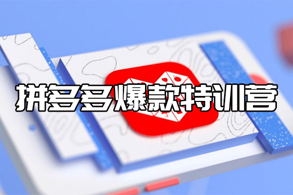 拼多多爆款特训营:全套实战干货?复盘课程!-百万资源网