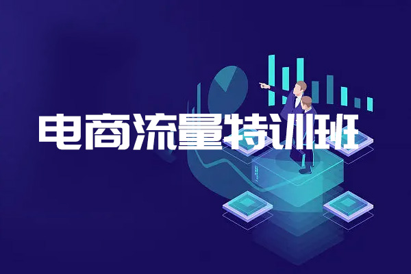 2023电商流量特训班：流量破局落地实操玩法-百万资源网