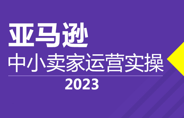 亚马逊2023运营实操课:亚马逊Listing多阶段精细化运营及SEO策略-百万资源网