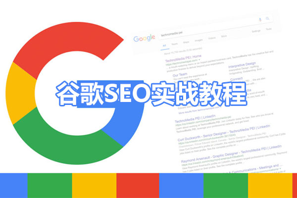 谷歌SEO实战教程:带你玩转谷歌SEO网站排名优化高级技法-百万资源网