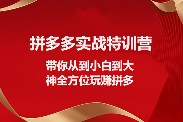 拼多多实战特训营:带你从到小白到大神全方位玩赚拼多多-百万资源网
