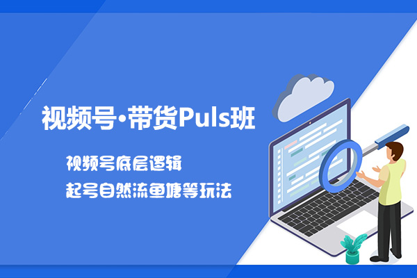 视频号·带货Puls班：视频号底层逻辑，起号自然流鱼塘等玩法-百万资源网