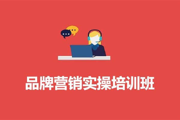 品牌营销实操培训班：通过底层逻辑提升品牌价值-百万资源网