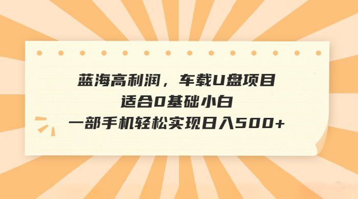 蓝海暴利项目，车载音乐U盘项目轻松日入500+（教程+素材）-百万资源网