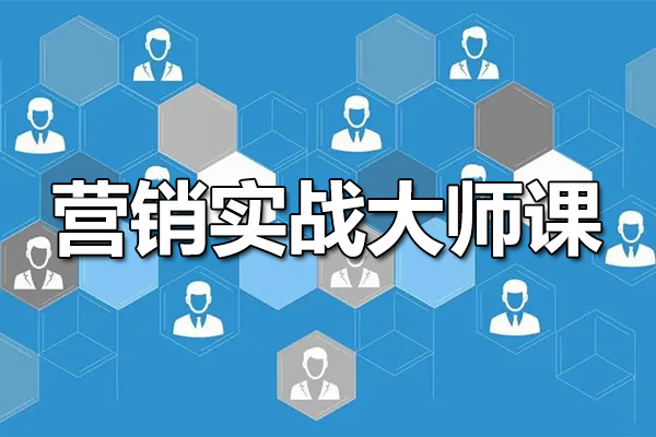 营销实战大师课：提升你的商业智慧，塑造成功品牌-百万资源网