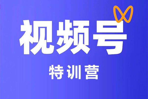视频号运营特训营:掌握底层逻辑、私域运营与直播流量运营的全方位课程-百万资源网