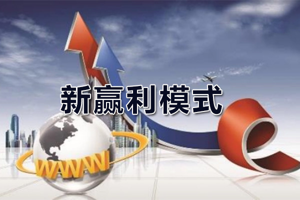 关立新《新赢利模式：打造创新商业模式，实现高效盈利》-百万资源网
