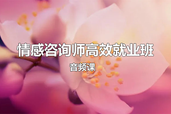 情感咨询师高效就业班18节音频课-百万资源网