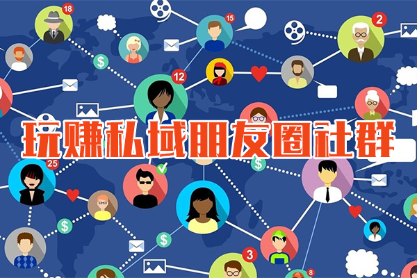 林雨新课VIP频道，玩赚私域朋友圈社群-百万资源网