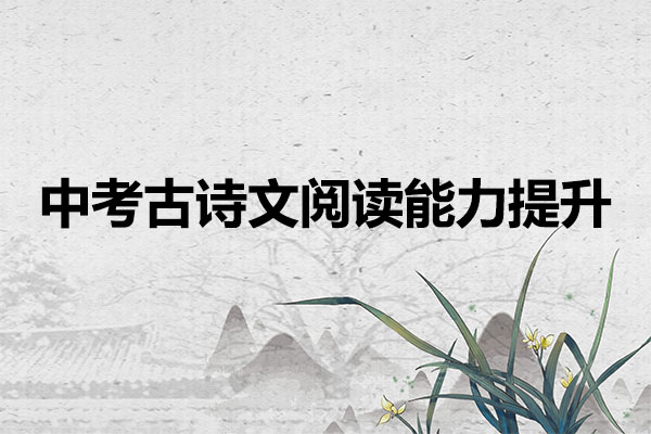 中考古诗文阅读能力提升音频课：中考语文核心素养课程（音频+讲义）-百万资源网