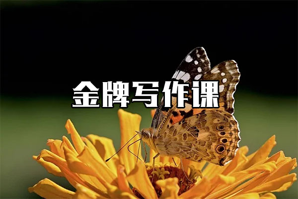 金牌写作课：零基础也能成为写作大神-百万资源网