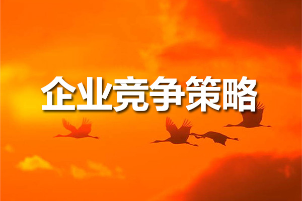 关苏哲企业竞争策略：差异化战略与市场创新-百万资源网