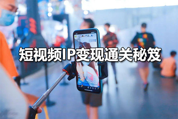 网红校长·短视频IP变现通关秘笈：从零到百万的商业机会与创作技巧全解析-百万资源网