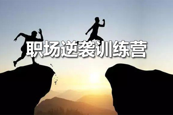 职场逆袭训练营:突破职业天花板,成就自我辉煌-百万资源网