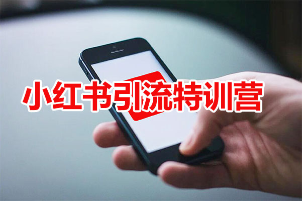 小红书引流特训营：零基础玩转小红书直达百万流量大咖-百万资源网
