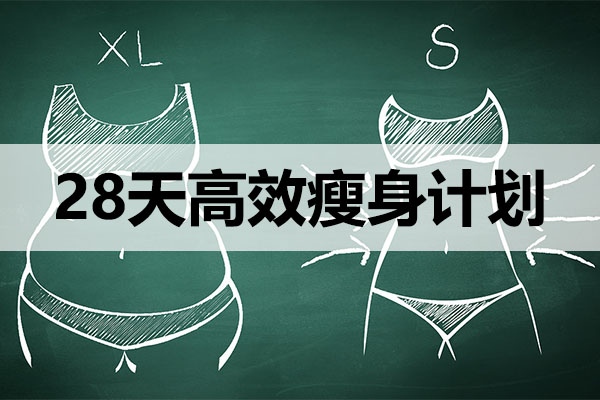 28天高效瘦身计划：做魅力自信的你-百万资源网