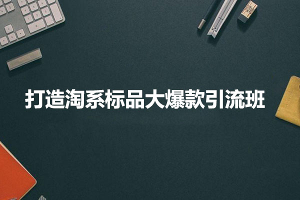 打造淘系标品大爆款引流班：轻松玩转爆款打法-百万资源网