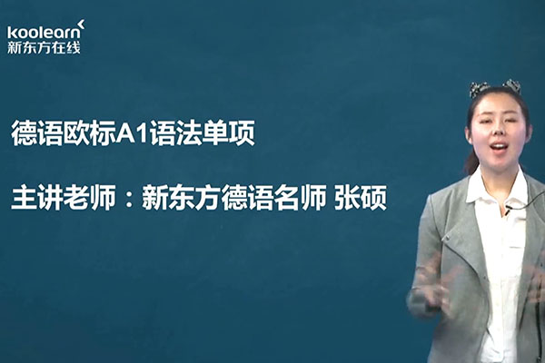 新东方在线德语欧标A1语法强化班授课老师张硕（视频+讲义）-百万资源网