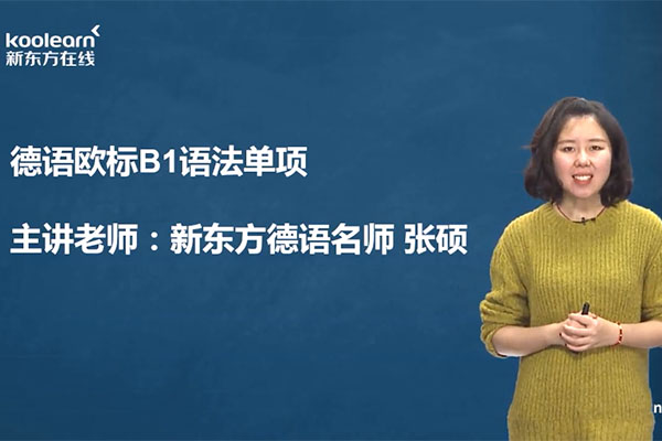 新东方在线德语欧标B1语法强化班授课老师张硕（视频+讲义）-百万资源网