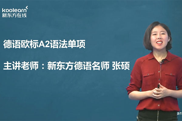 新东方在线德语欧标A2语法强化班授课老师张硕（视频+讲义）-百万资源网