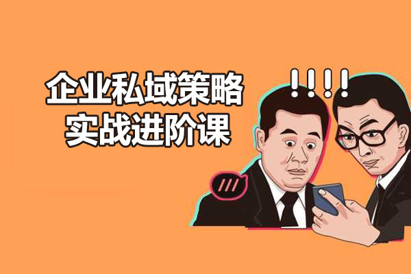 企业私域策略实战进阶课：培养能拿结果的私域操盘手-百万资源网