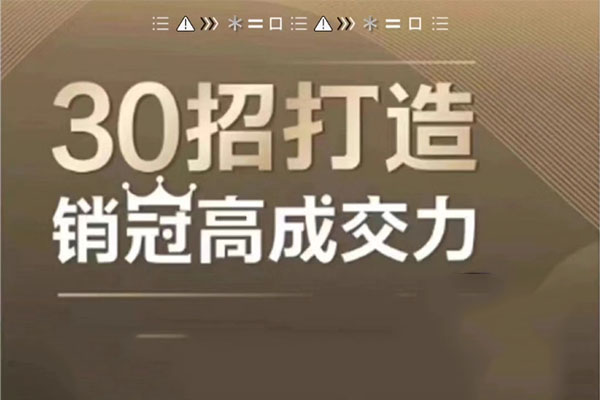 30招打造销冠高成交力：打破业绩瓶颈的终极秘籍-百万资源网